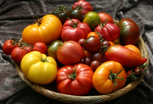 Изображение к публикации Польза помидоров при похудении: важная информация