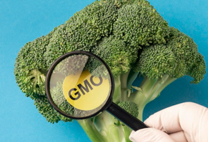 Изображение к публикации Вся правда о ГМО - как сохранить здоровье, покупая продукты?