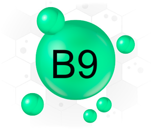 Изображение к нутриенту или витамину B9