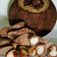 Изображение к продукту Бразильский орех