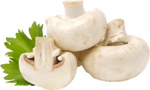 Категория продуктов: Грибы Грибы