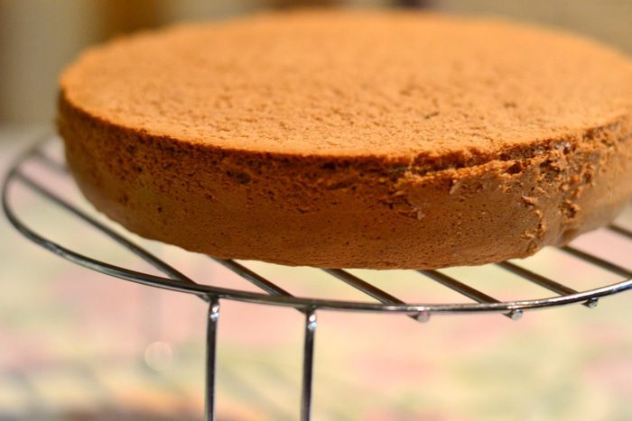 Торт Тирамису &amp;quot;Алехандро&amp;quot; (Tiramisu Cake &amp;quot;Alejandro&amp;quot;)