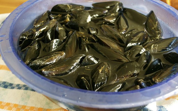 Мидии по-адмиральски (Moules au roquefort)