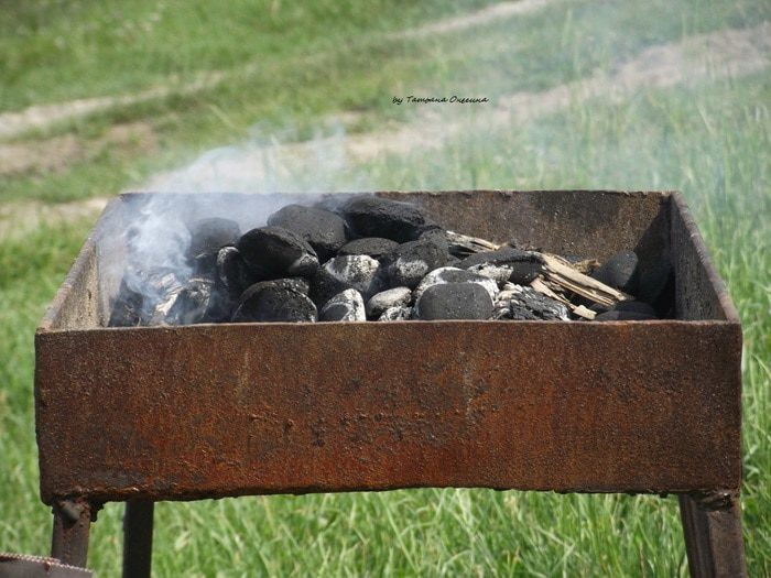 Шашлык из свинины в маринаде из киви