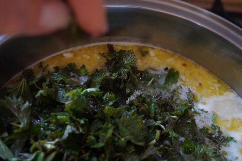 Зеленый борщ с крапивой 