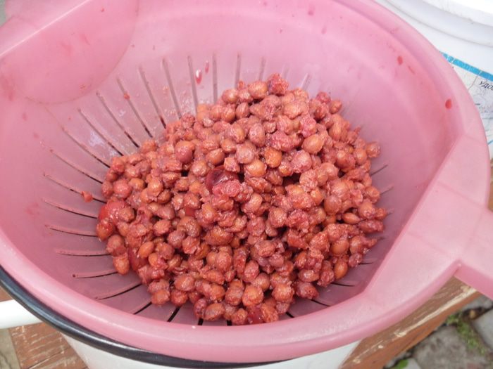 Дедушкин любимый кисель