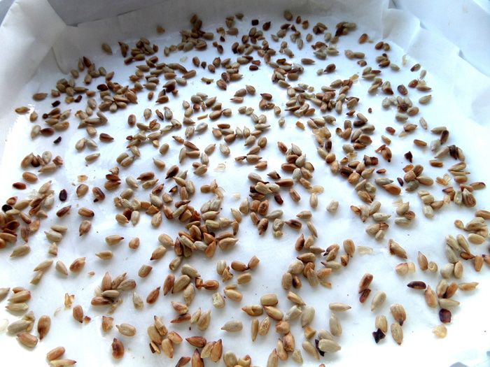 Домашняя армянская халва