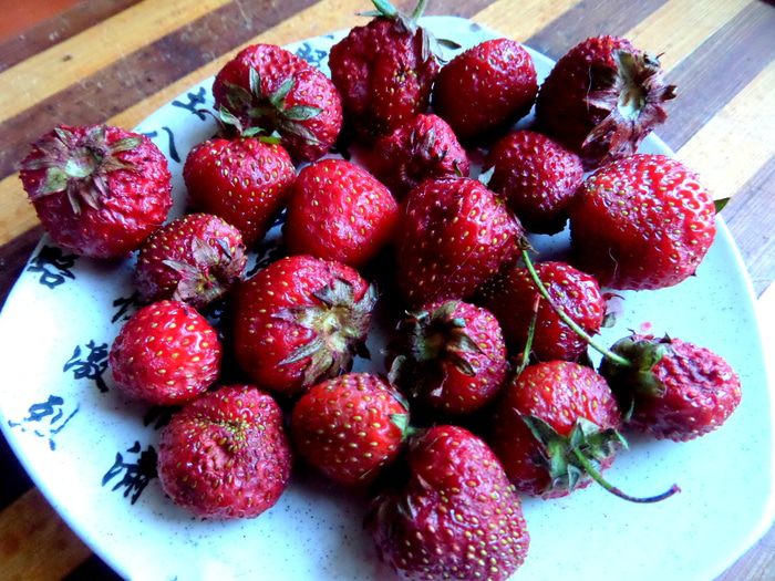 Летний торт &amp;quot;Фрукты в желе&amp;quot;