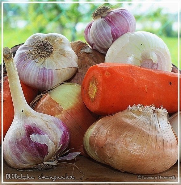 Плов, или попытка объять необъятное &amp;quot;ПЛОВские старания&amp;quot;