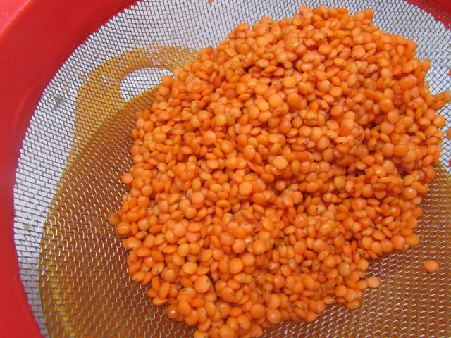 Паштет из чечевицы с курагой