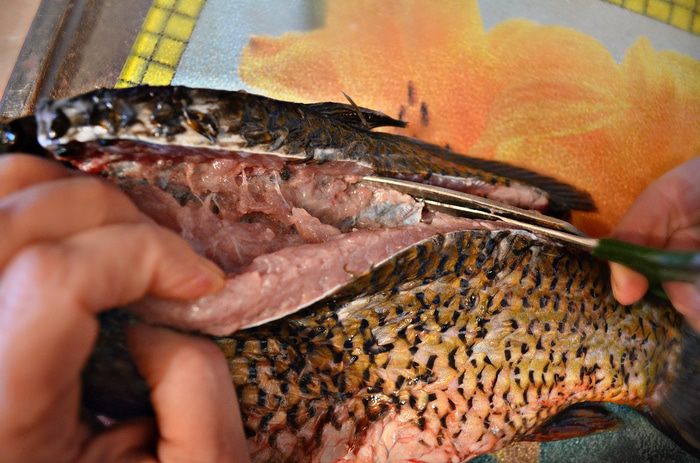 Карп, фаршированный &amp;quot;по-царски&amp;quot; с гарниром из тыквы