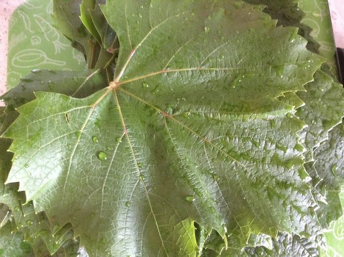 Овощная долма