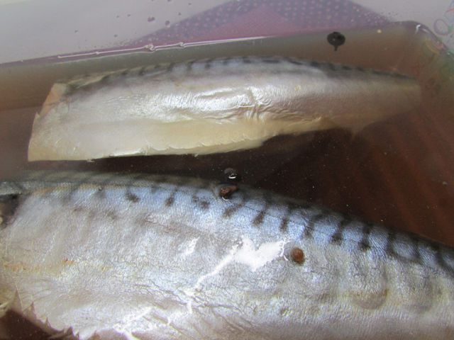 Маринованная скумбрия