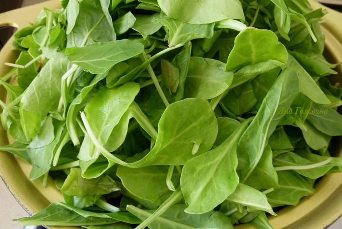 Шпинатный тарт на крекерной основе