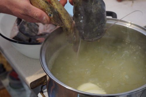 Сборная уха из сома и ерша-носаря