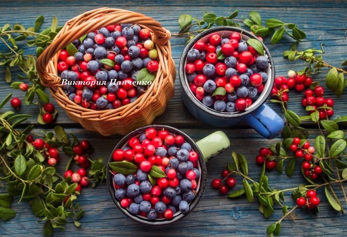 Бруснично-черничный мусс