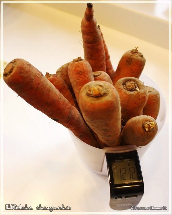 Плов, или попытка объять необъятное &amp;quot;ПЛОВские старания&amp;quot;