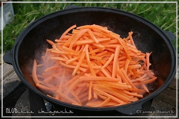 Плов, или попытка объять необъятное &amp;quot;ПЛОВские старания&amp;quot;