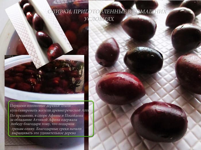 Маслины (оливки) собственного приготовления