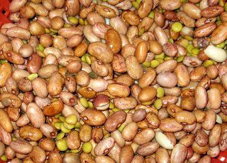 Фасолевый суп с копченой грудинкой