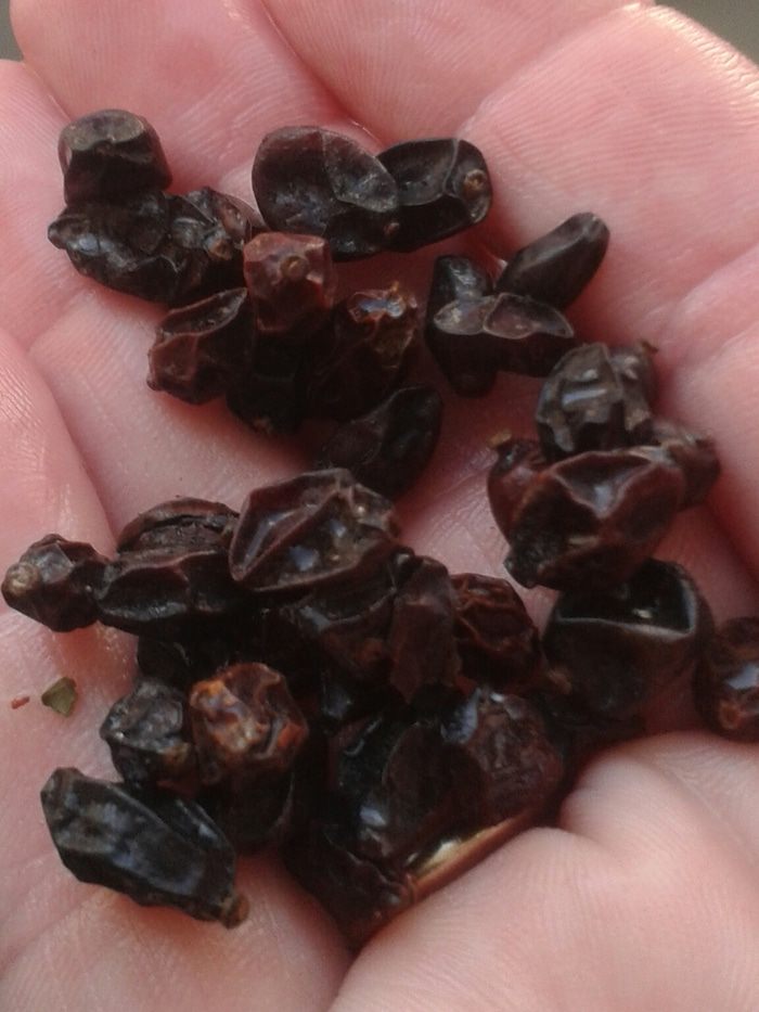 Плов из курицы &amp;quot;На здоровье&amp;quot; 