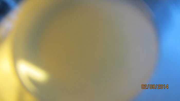 Ризотто с креветками и ароматными травами