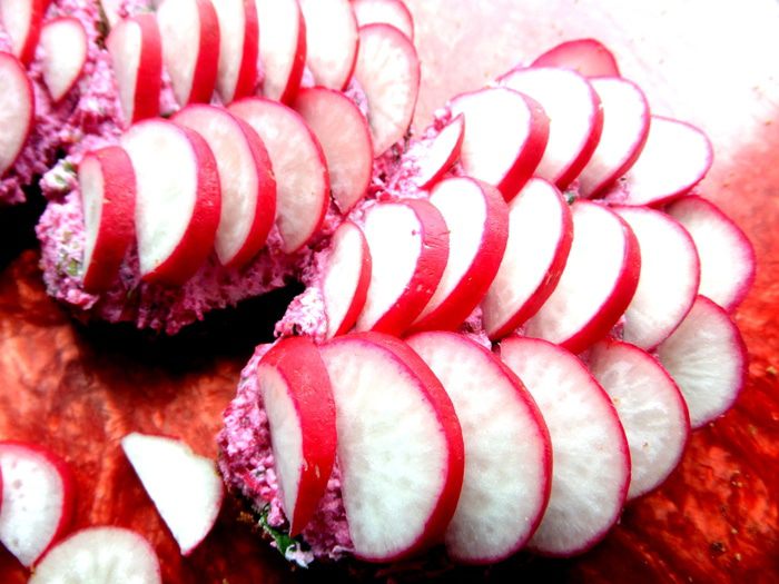 Закуска &amp;quot;Редиска на творожке&amp;quot;