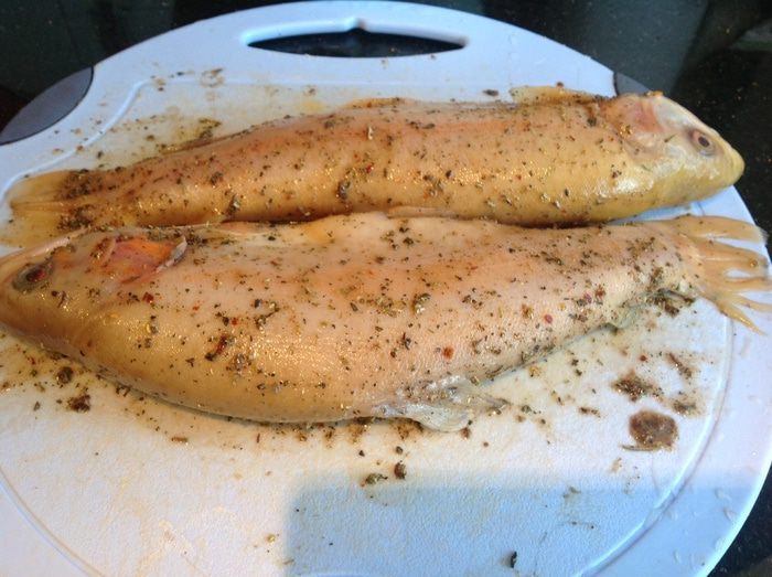 Форель янтарная