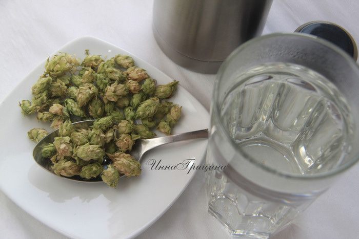 Домашние дрожжи на хмеле