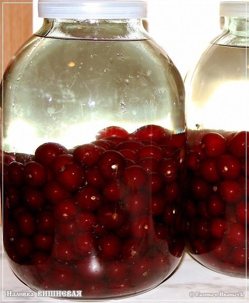 Вишневая наливка