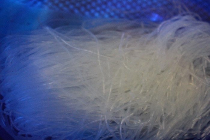 Фунчоза с овощами и мясом краба