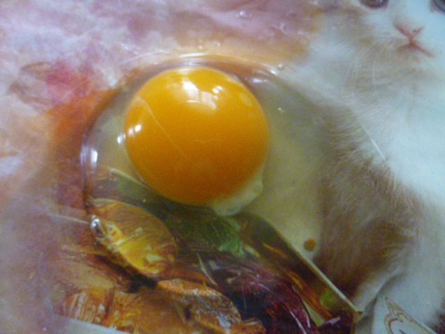 Мясные булочки