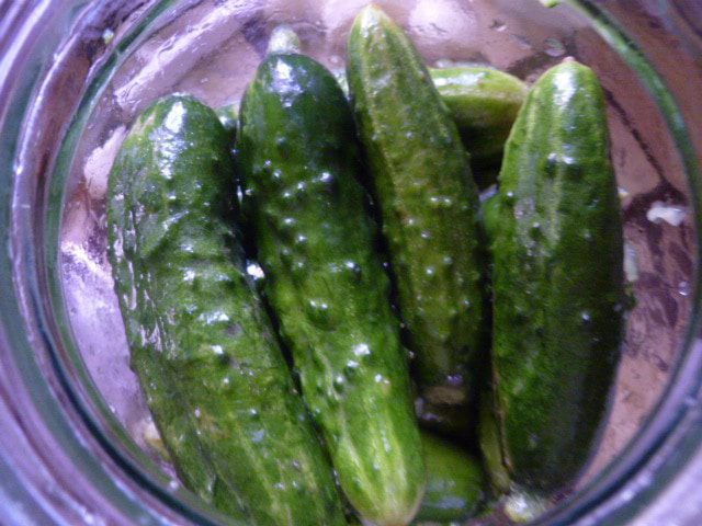 Огурцы в огурцах