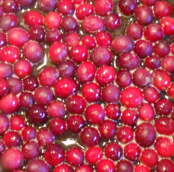 Зальцбургский нокерльн