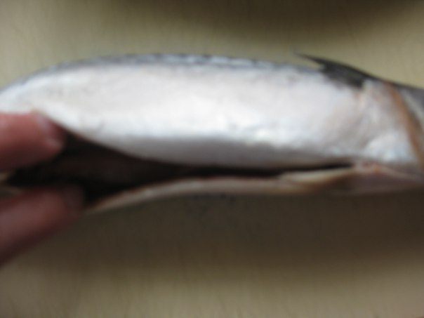 Скумбрия с апельсинами