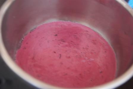 Воздушный мусс из черной смородины