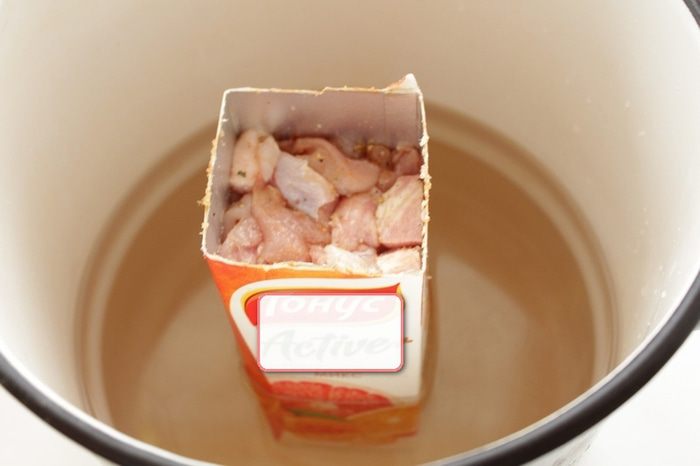 Сальтисон куриный