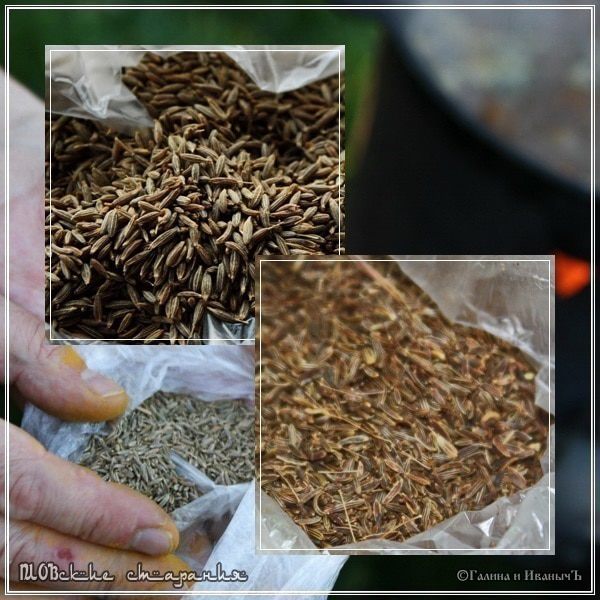 Плов, или попытка объять необъятное &amp;quot;ПЛОВские старания&amp;quot;