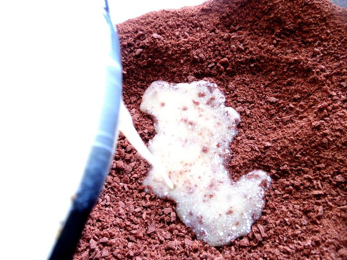 Чизкейк с шоколадом и домашним маскарпоне