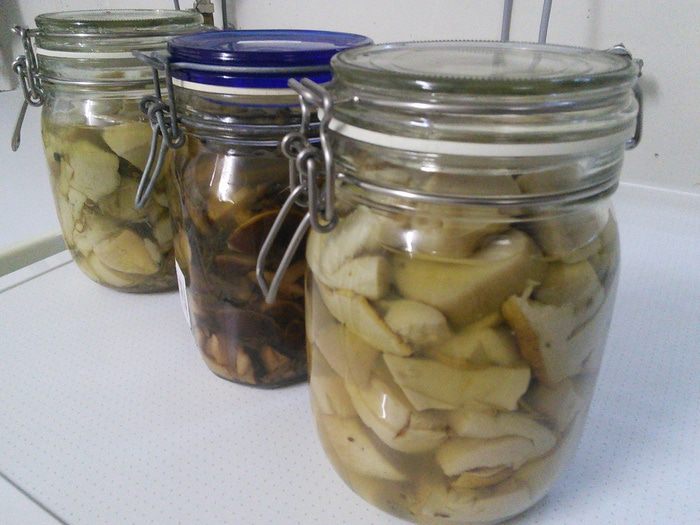 Маринованные грибы: белые, моховики 