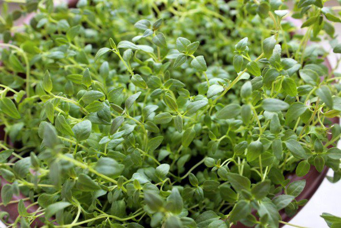 Закусочные яичные маффины