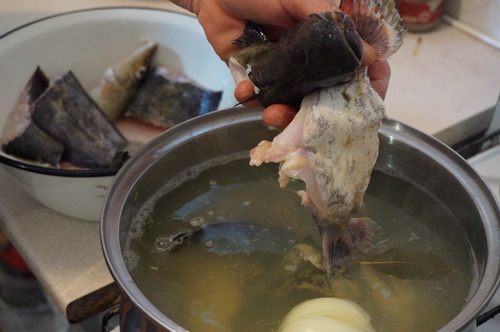 Сборная уха из сома и ерша-носаря