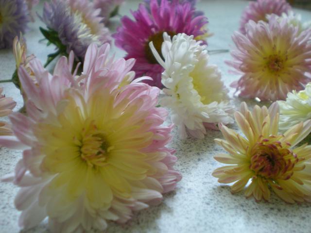 Торт &amp;#39;&amp;#39;Десертная Роза&amp;#39;&amp;#39; с засахаренными цветами