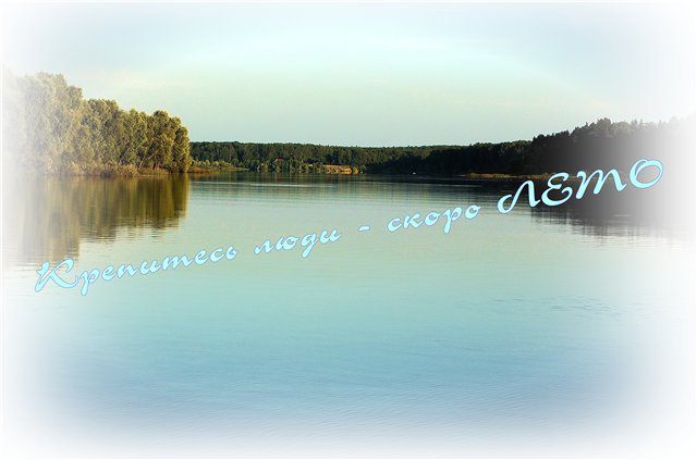 Судак «Летний обед»