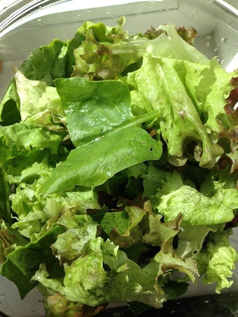 Салат с пармезаном, кедровыми орешками и черной смородиной