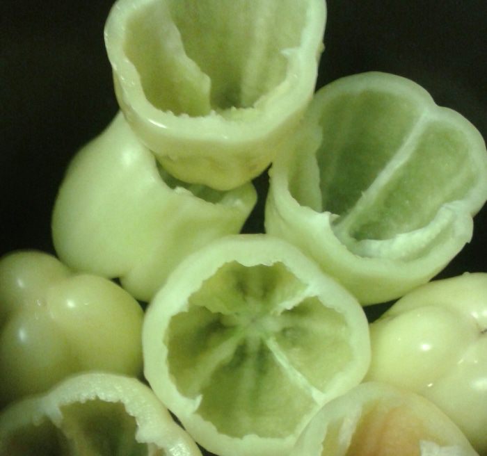 Перец, фаршированный мясом и рисом