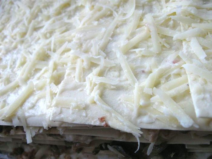 Лазанья с рагу болоньезе (ragù alla bolognese), грибами и моцареллой