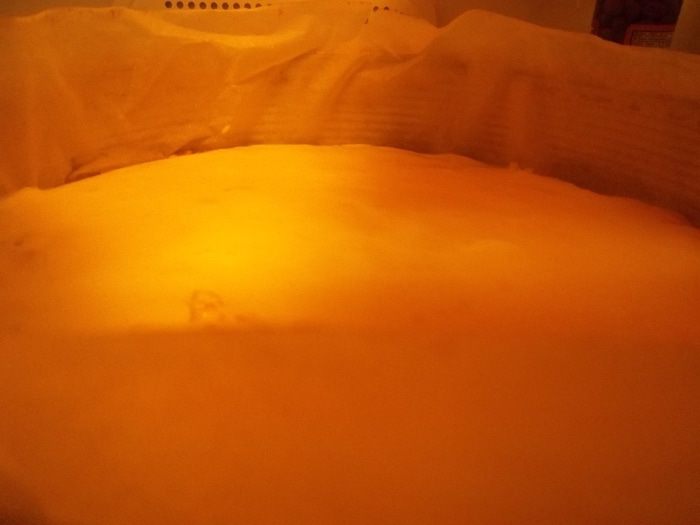 Торт &amp;quot;Фирменный&amp;quot;