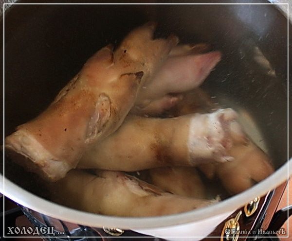 Холодец ... традиционно-обычный