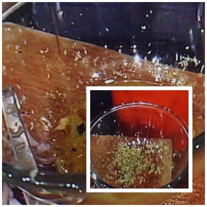 Экзотический манговый Тирамису